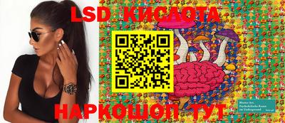шишки Заволжье