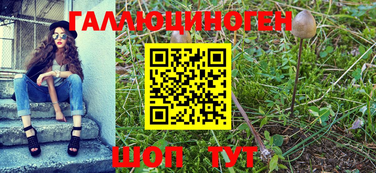 Галлюциногенные грибы мухоморы Майский