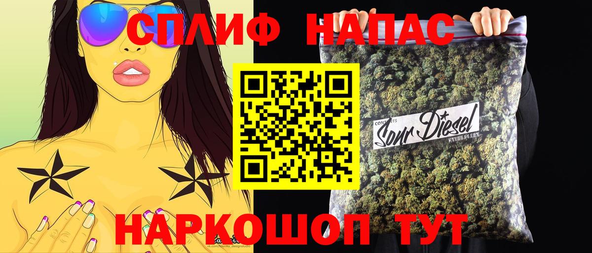 Конопля планчик Майский